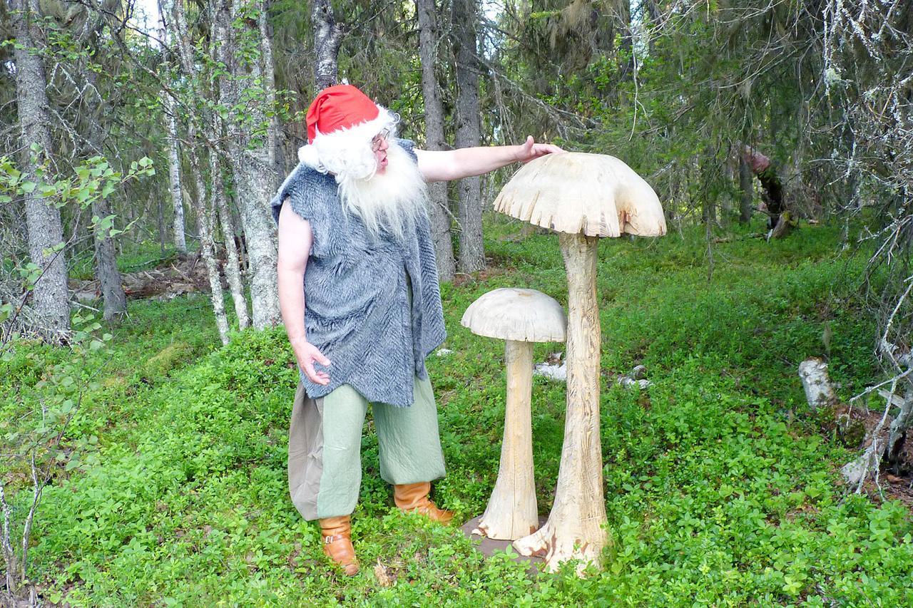 Elves Village Hotel Köngäs Eksteriør bilde